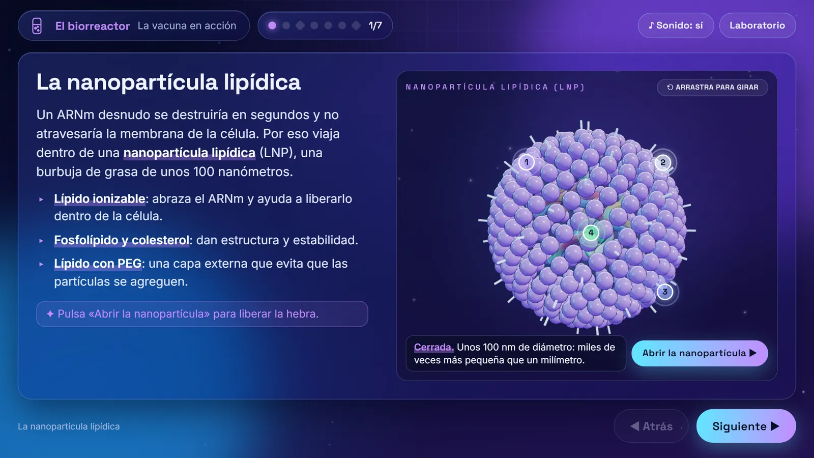 Pantalla de un curso interactivo sobre vacunas de ARNm con una nanopartícula en 3D